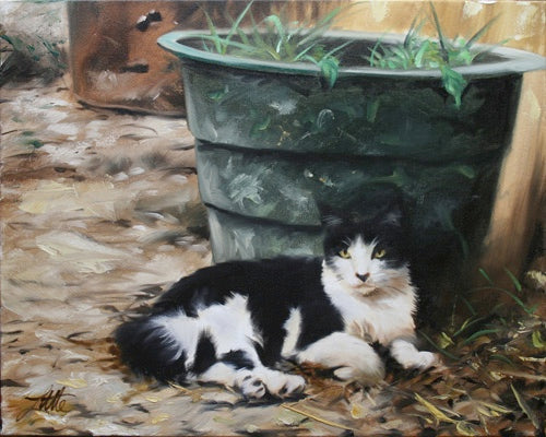 Marc Little