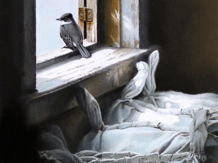 Michael Dumas, Looking Out, Eastern Phoebe