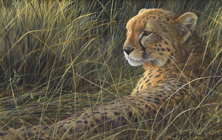 Robert Bateman, Cheetah on the Mara