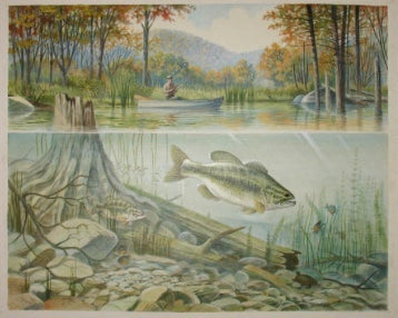 Ron Jenkins,  Fishing for Small Mouth Bass