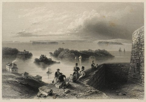 W.H. Bartlett/ Robert Wallis, View from the Citadel at Kingston
