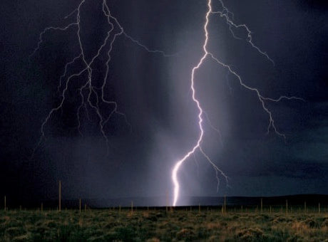 Walter De Maria, The Lightning Field, 1977, Catron Country, New Mexico.