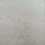 Pencil painting, Portrait Unknown Artist, Cover view