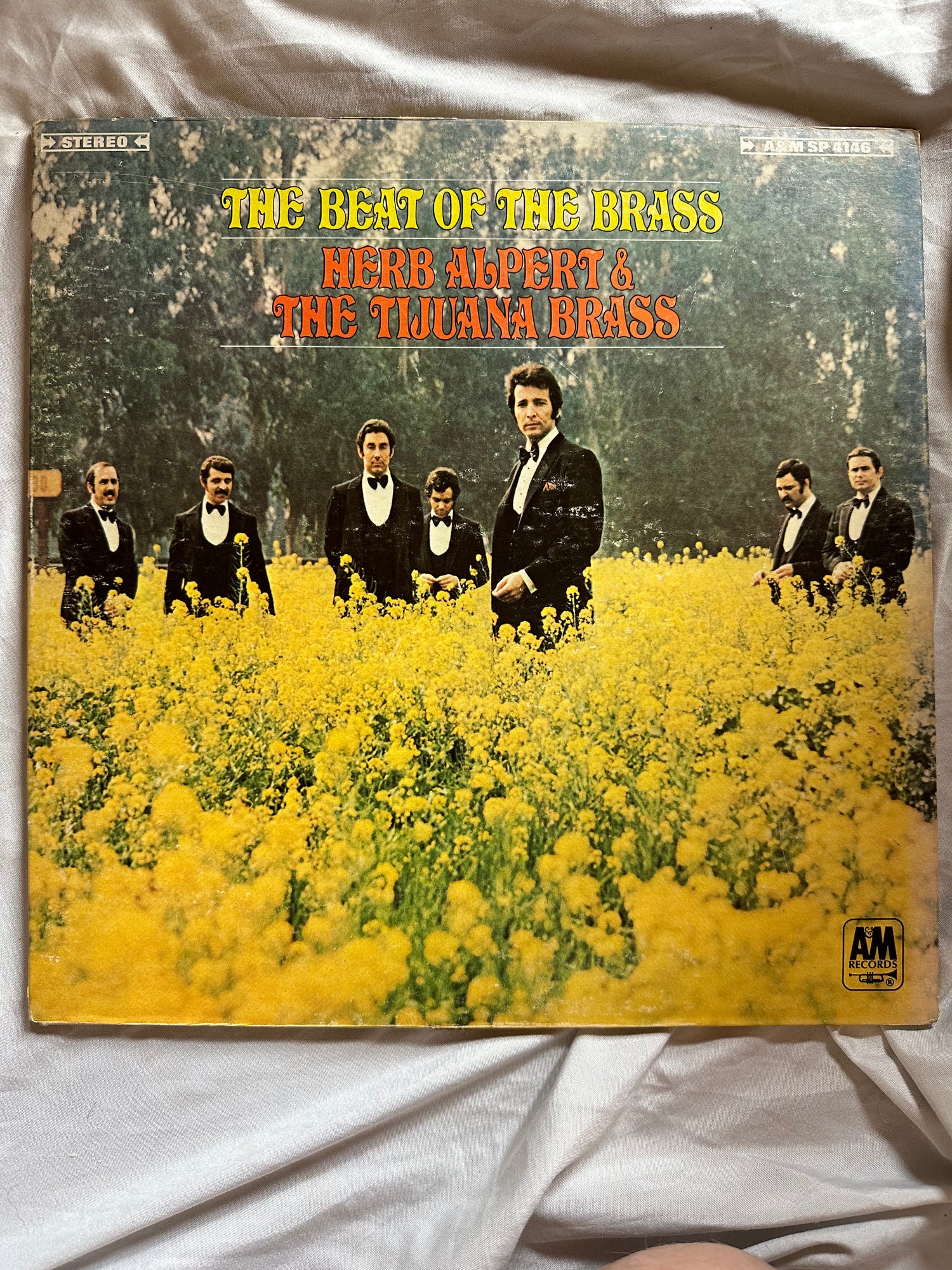 Vinyl record, Jazz Herb Alpert & The Tijuana Brass, Front view