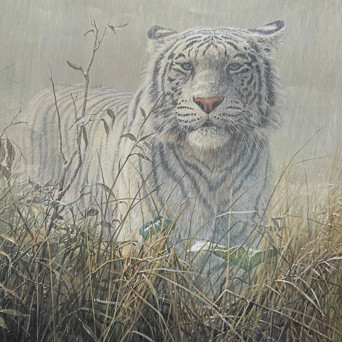  painting, Animals John Seerey-Lester, Cover view