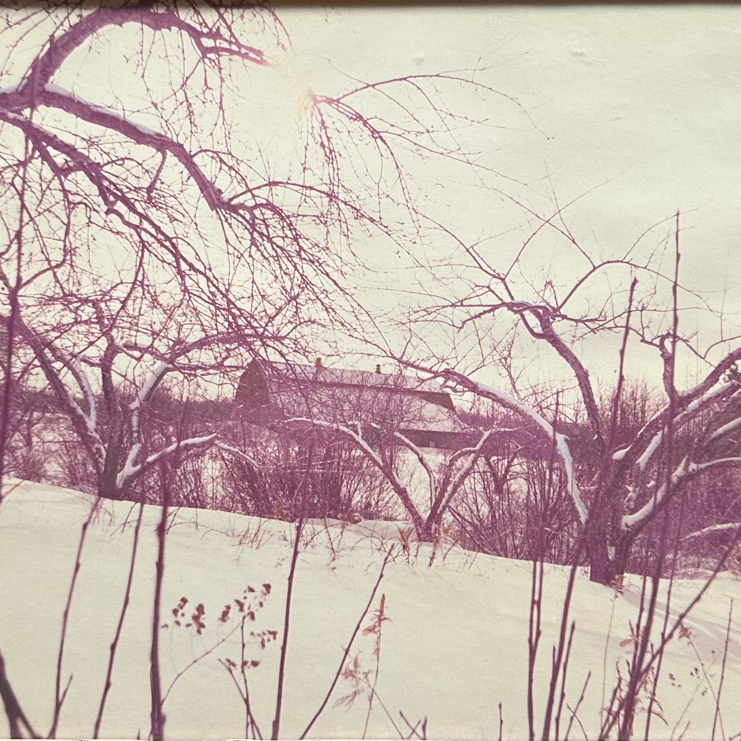Photo, Landscape Unknown Artist, Cover view