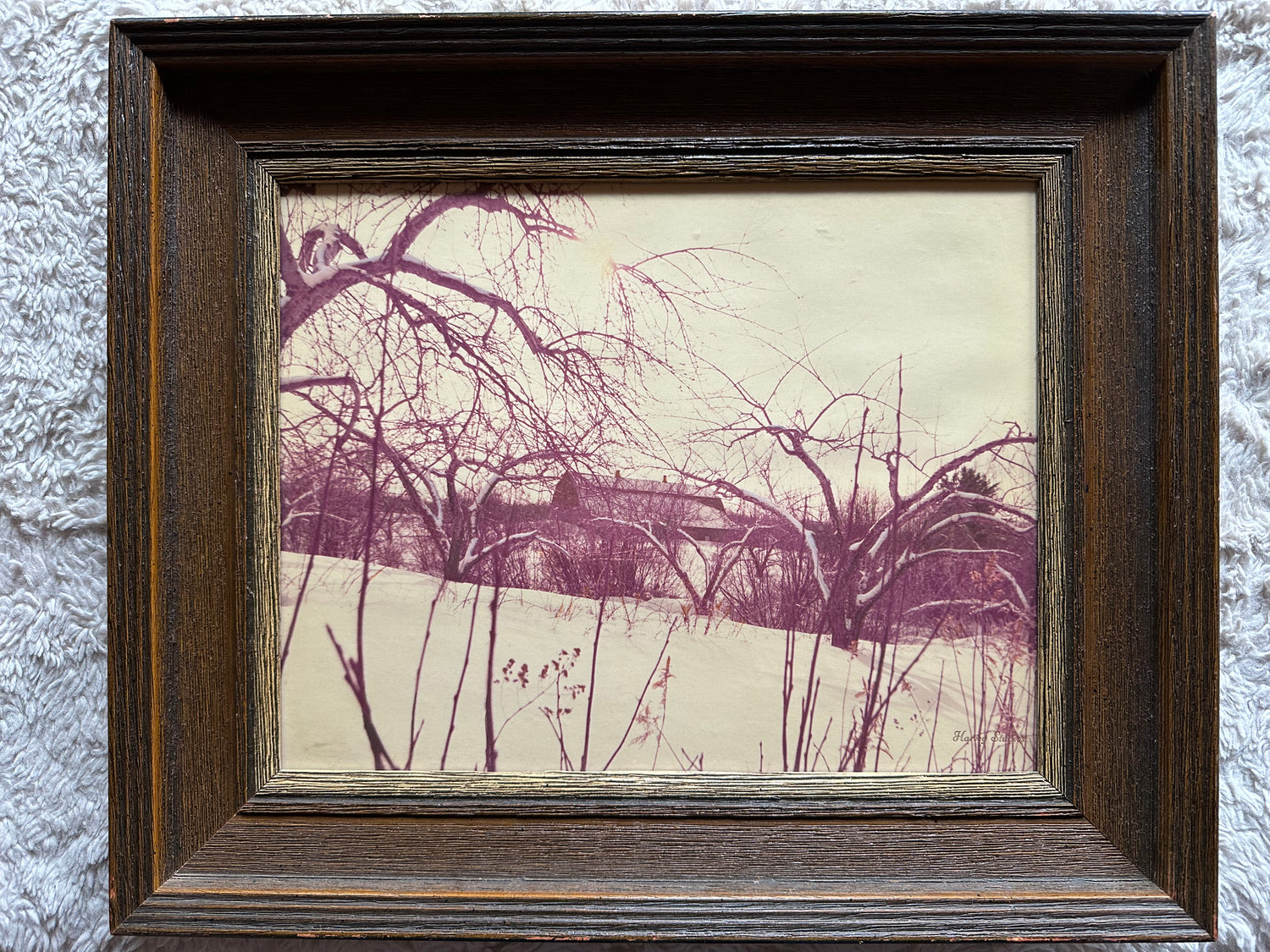Photo, Landscape Unknown Artist, Front view