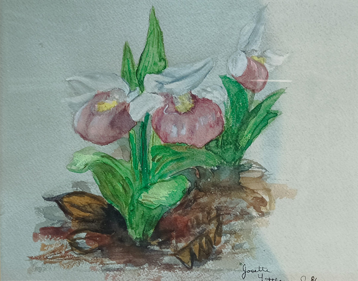 Watercolour painting, Floral Josette Little, Art view