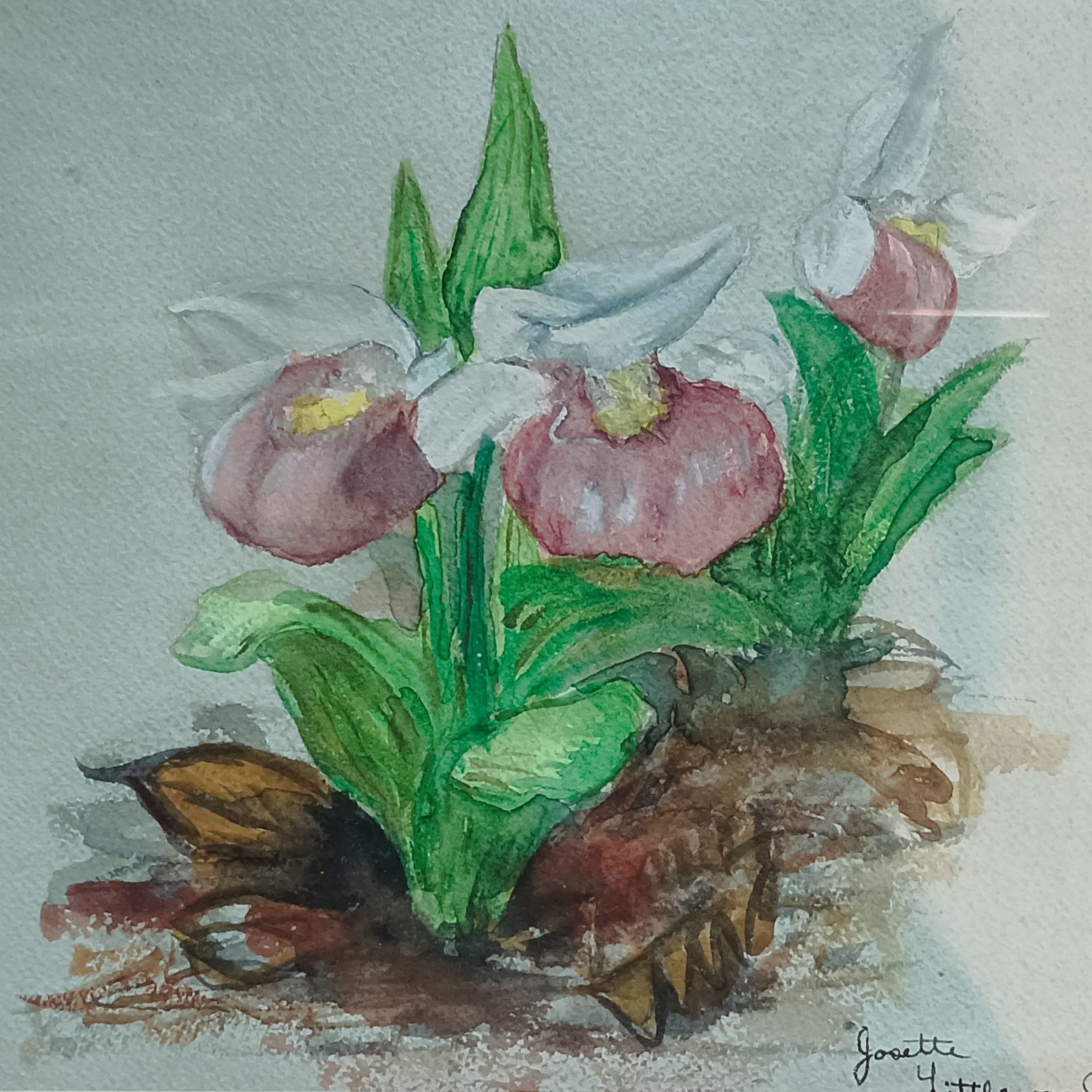 Watercolour painting, Floral Josette Little, Cover view