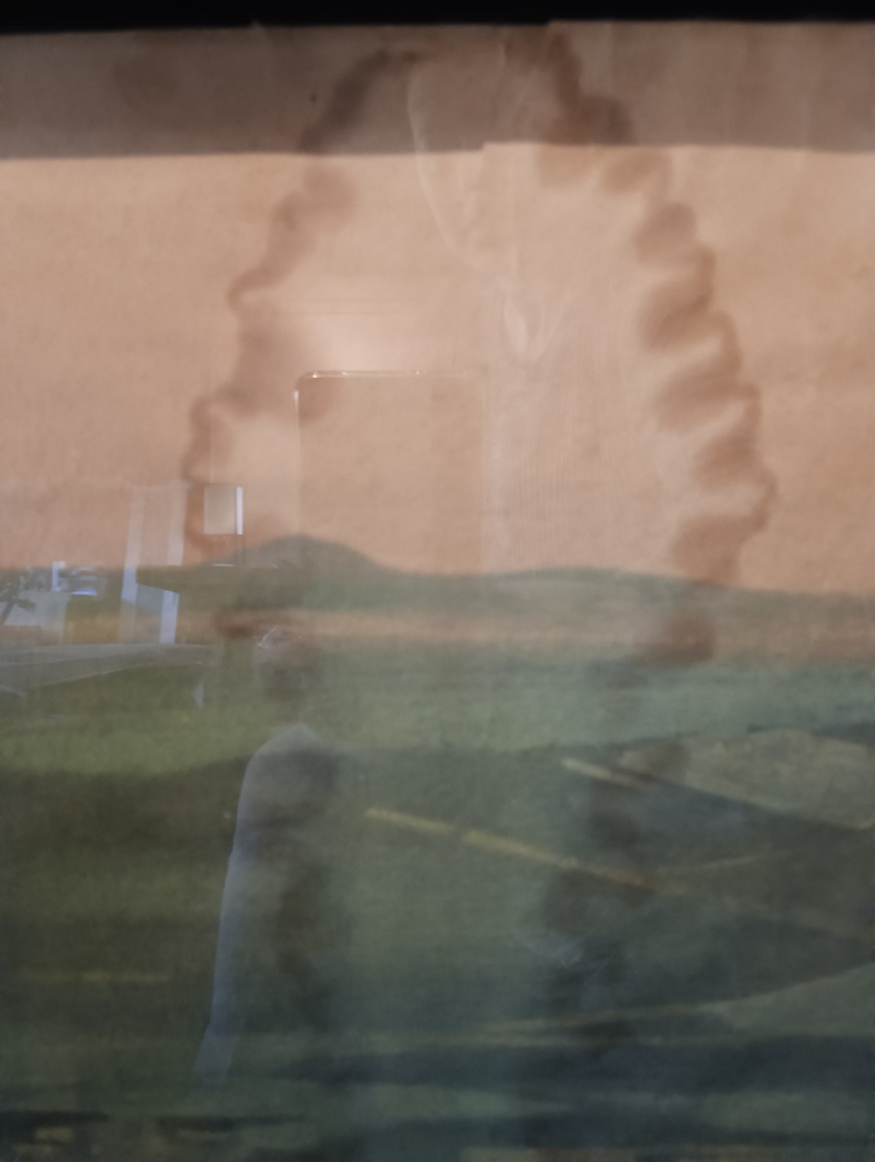 Print, Landscape, Nizzoli, Damage2 view