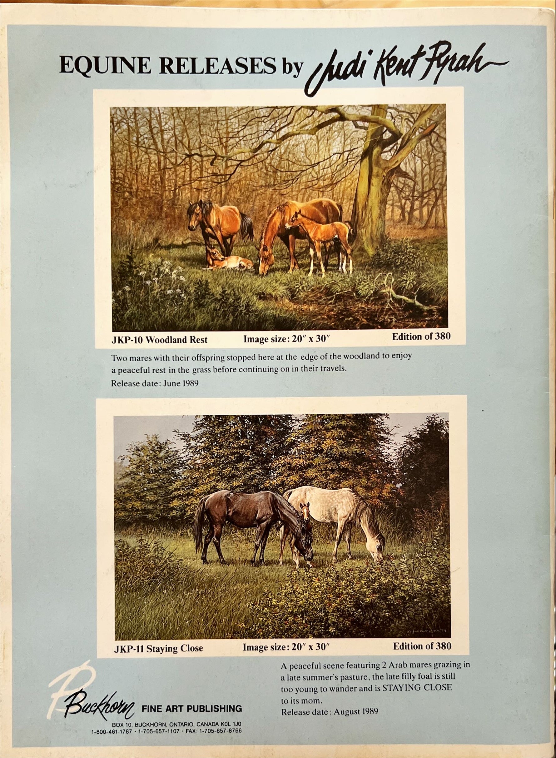 Magazine, Arts, , Art Impressions: A Realistic Approach to Art in Canada, Vol. 5, No. 4, Winter/November 1989, Back view