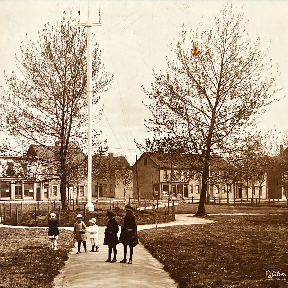 Photo, History Wilson Studio, Cover view