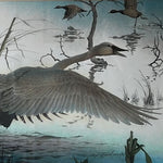 Mixed Media painting, Wild Life, Birds, Waterfowl Lloyd Fitzgerald, Cover view