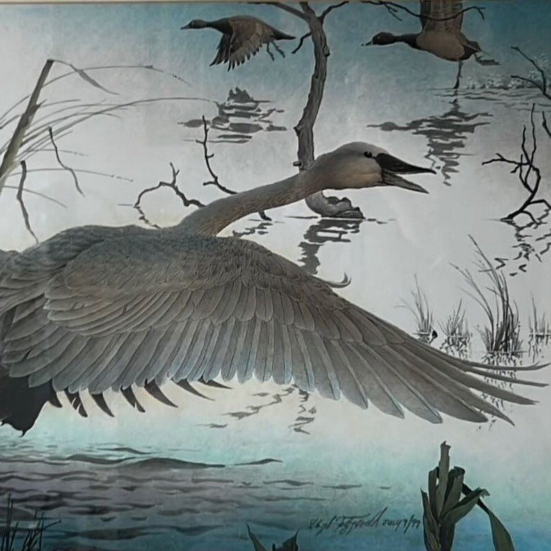 Mixed Media painting, Wild Life, Birds, Waterfowl Lloyd Fitzgerald, Cover view