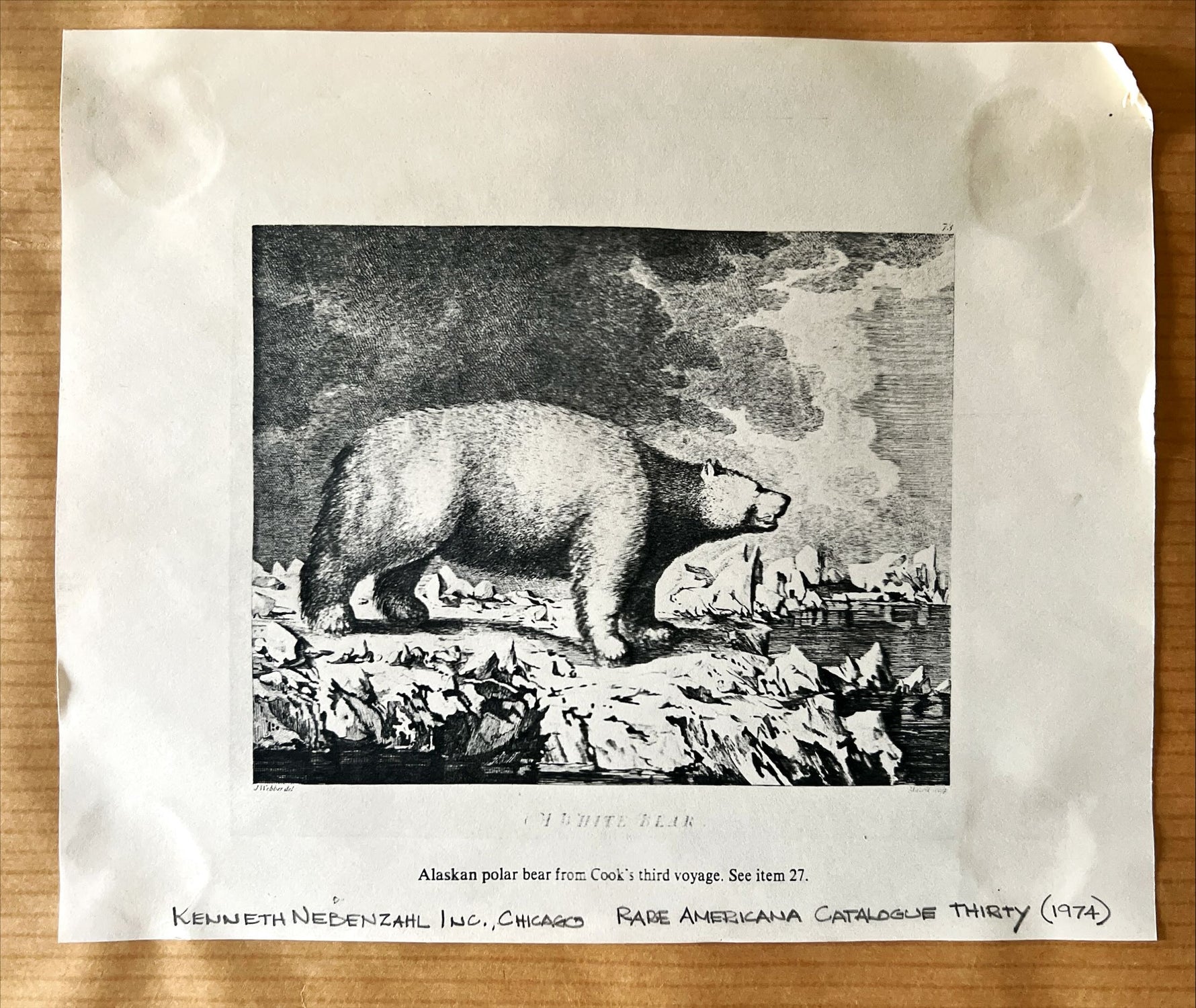 Pencil painting, Animals J. Webber, BackA view