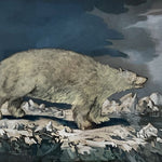 Pencil painting, Animals J. Webber, Cover view