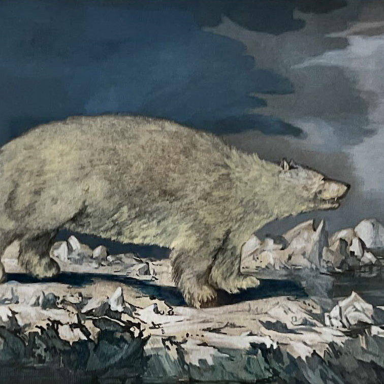 Pencil painting, Animals J. Webber, Cover view