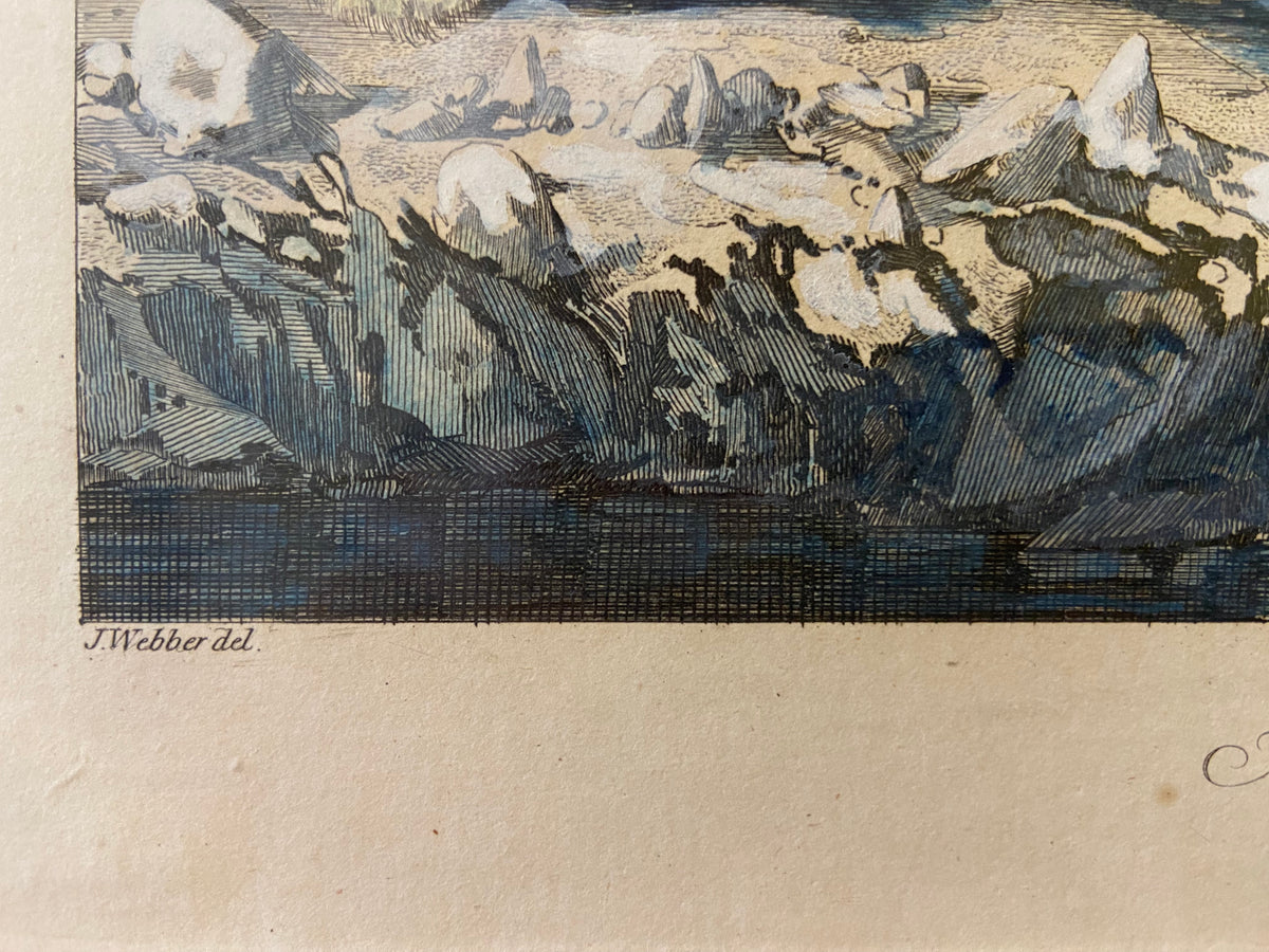 Pencil painting, Animals J. Webber, Signature1 view