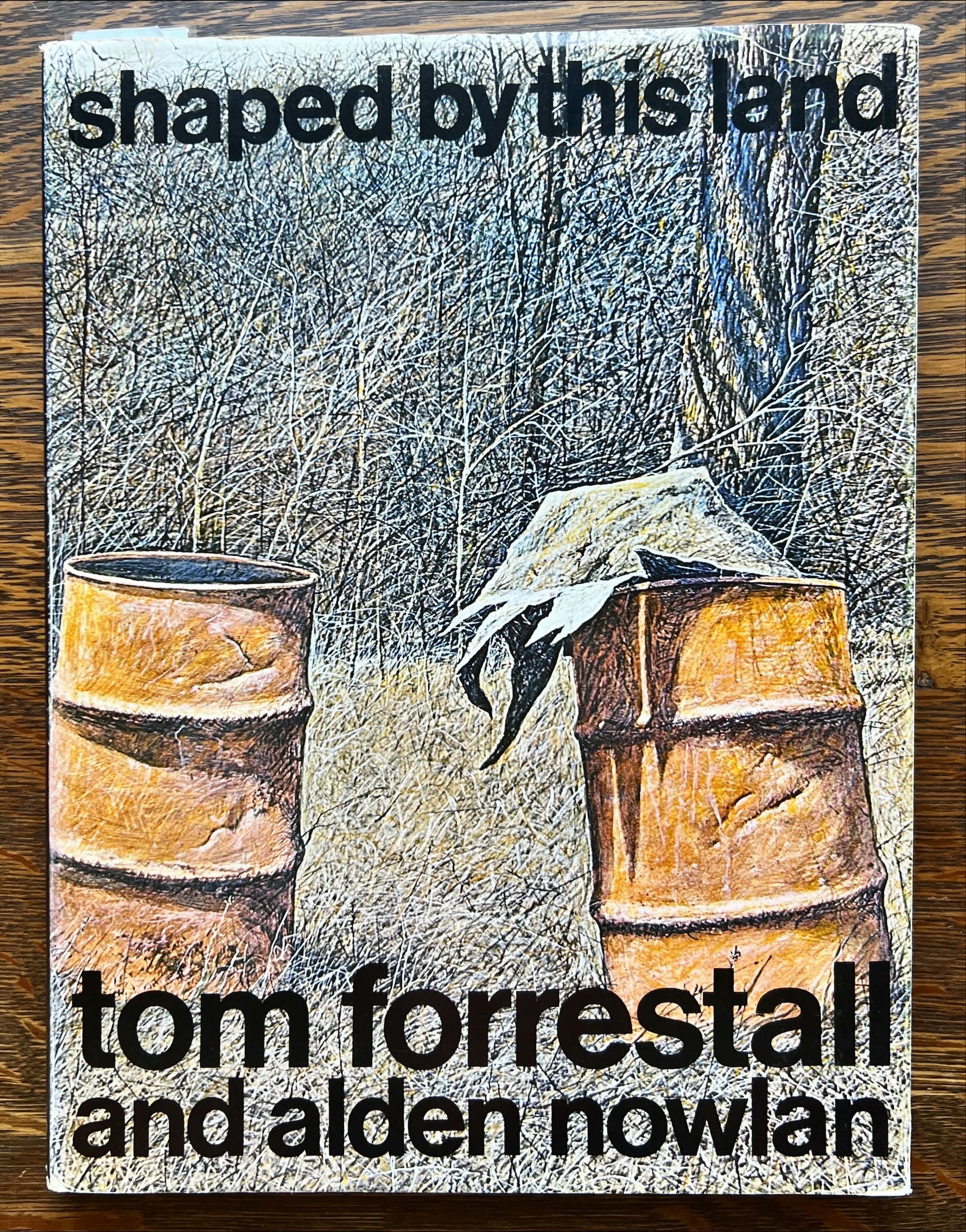Book, Arts, Artist, Tom Forrestal and Alden Nowlan, Shaped by this Land, Front view