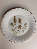 Craft work, Pottery, Material: Clay, Molly Lamb Bobak, Front view