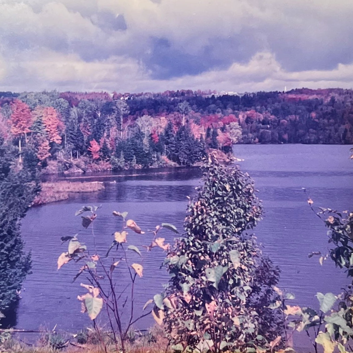 Photo, Landscape Unknown Artist, Cover view