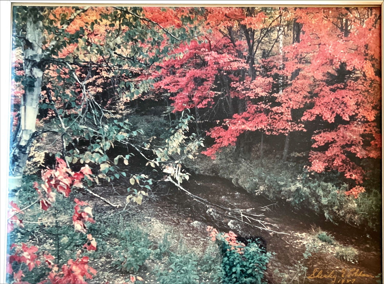 Photo, Landscape Unknown Artist, Art view
