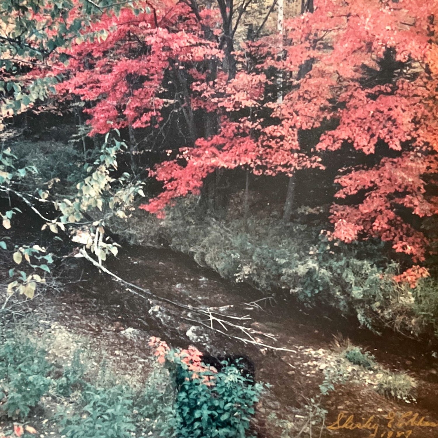 Photo, Landscape Unknown Artist, Cover view