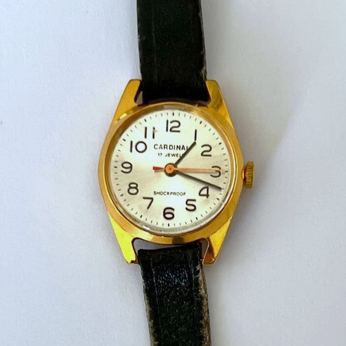 Accessory, Watch Cardinal, Cover view