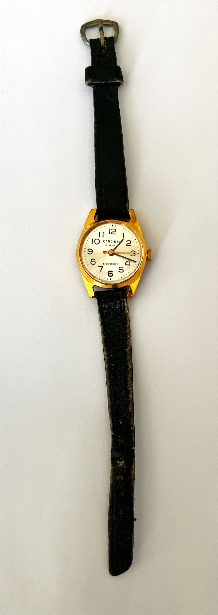 Accessory, Watch Cardinal, Front view