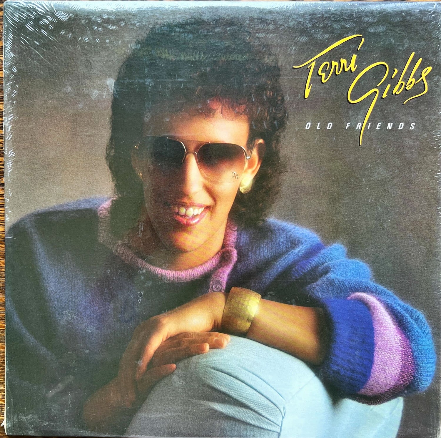 Vinyl record, Folk Terri Gibbs, Front view