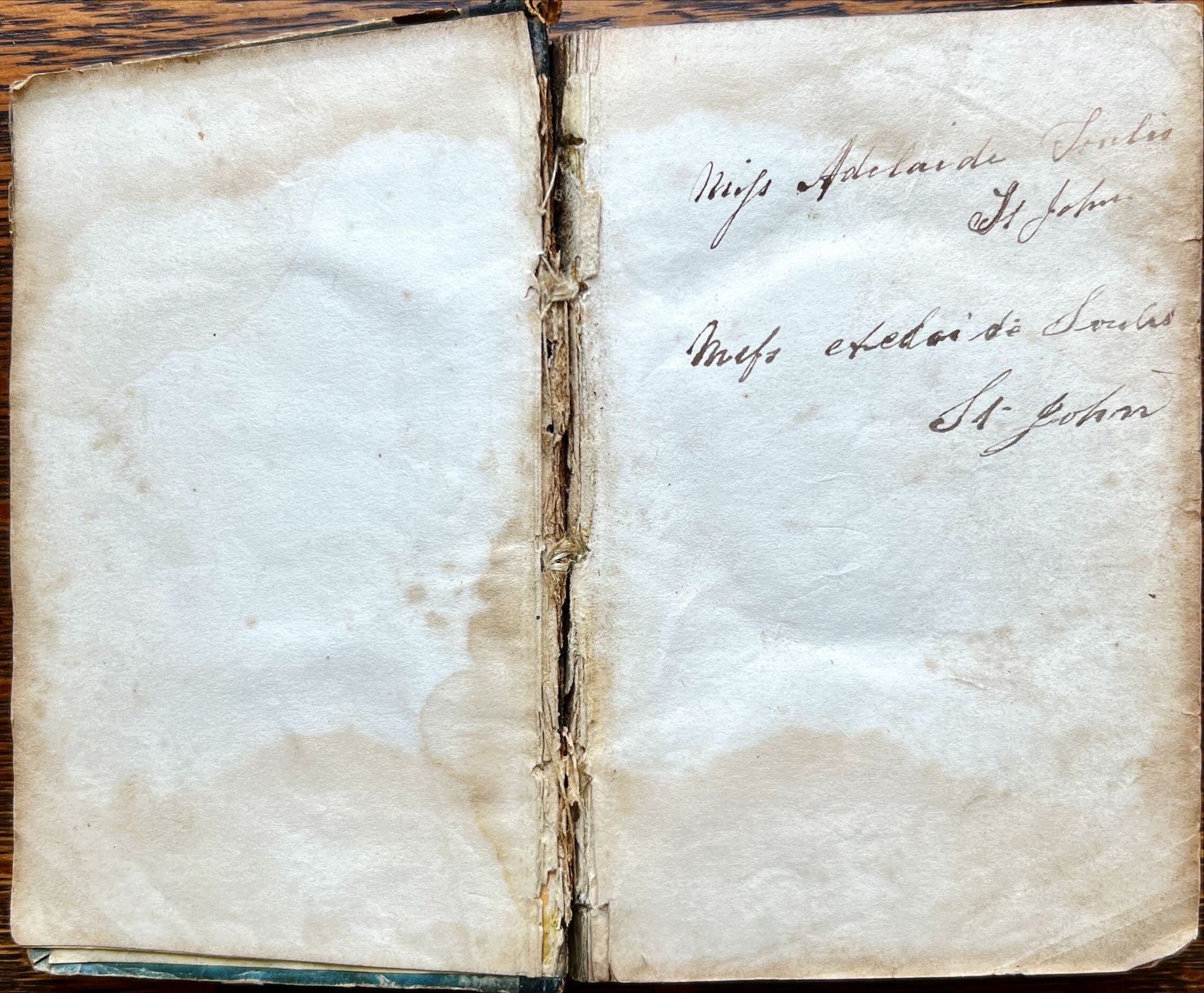 Book, Antique, , The Picturesque  Pocket Companion, and Visitor’s Guid, through Mount Auburn: Illustrated with Upwards of Sixty Engravings on Wood, Damage view