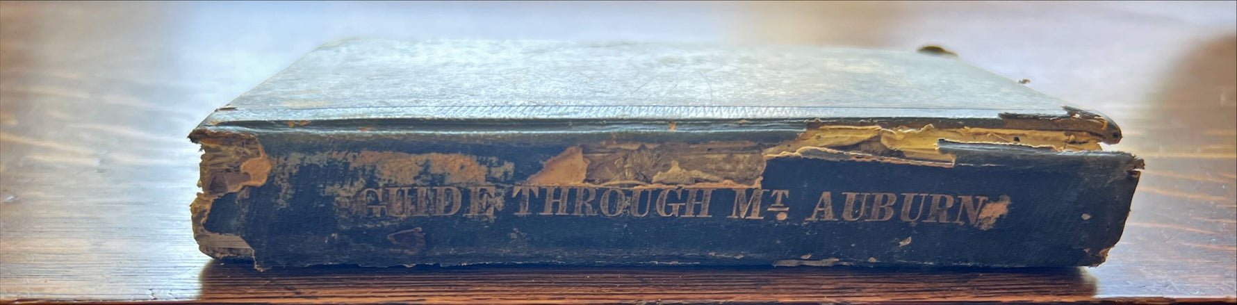 Book, Antique, , The Picturesque  Pocket Companion, and Visitor’s Guid, through Mount Auburn: Illustrated with Upwards of Sixty Engravings on Wood, Spine view