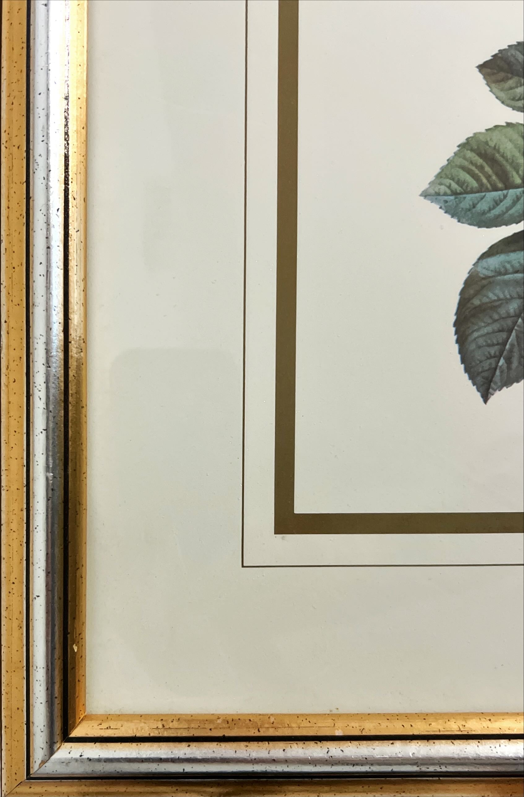 Print, Floral, Unknown Artist, Damage view