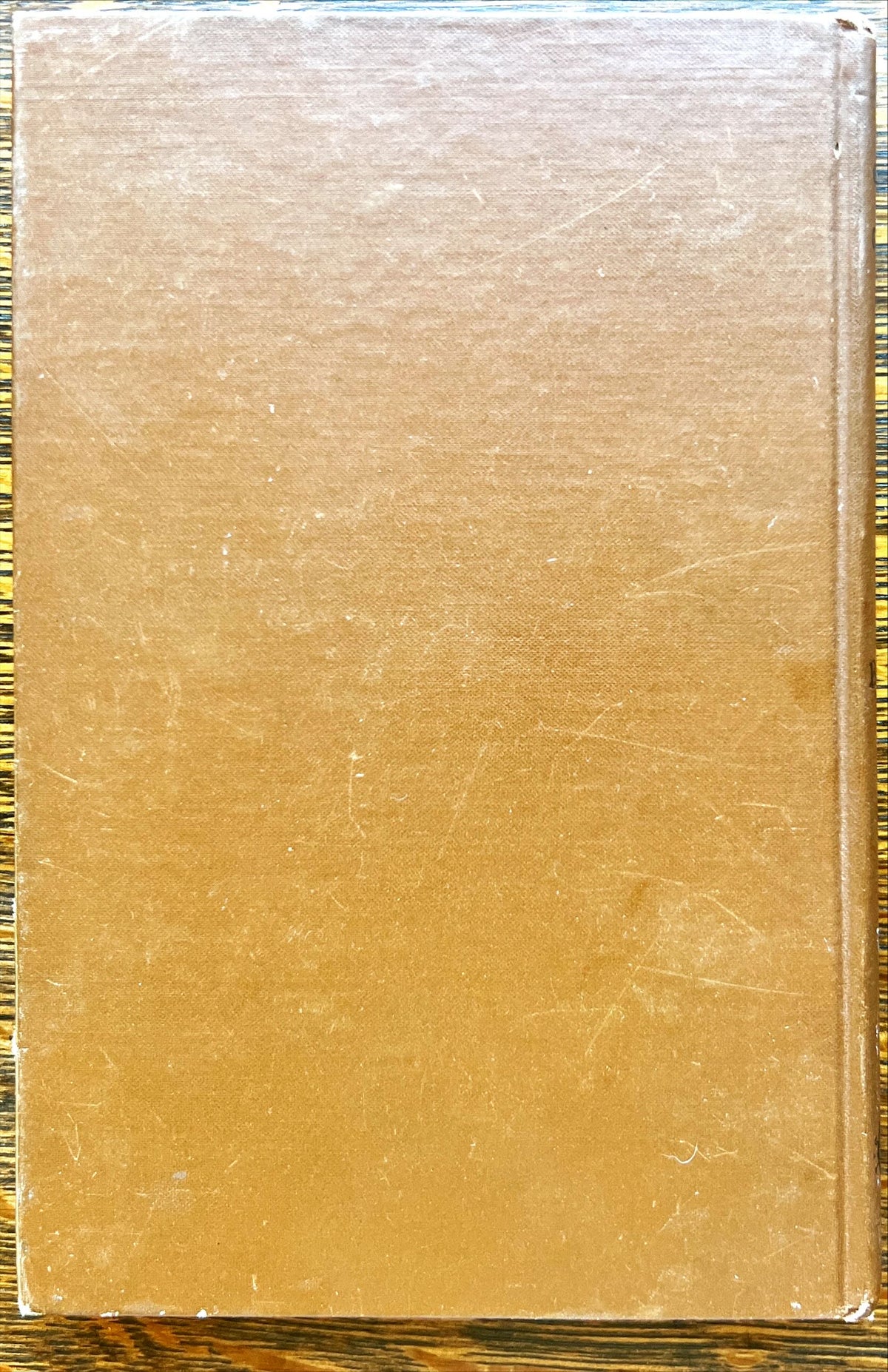 Book, Politics, History, Canada, John George Bourinot, How Canada Is Governed: A Short Account of Its Executive, Legislative, Judicial and Municipal Institutions With an Historical Outline of Their Origin and Development, Back view