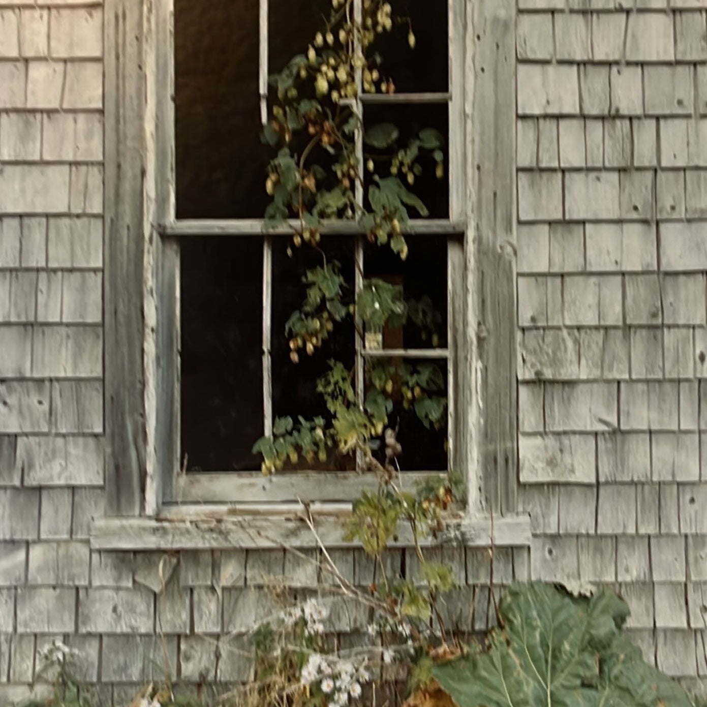 Photo, Architecture, Exterior Unknown Artist, Cover view