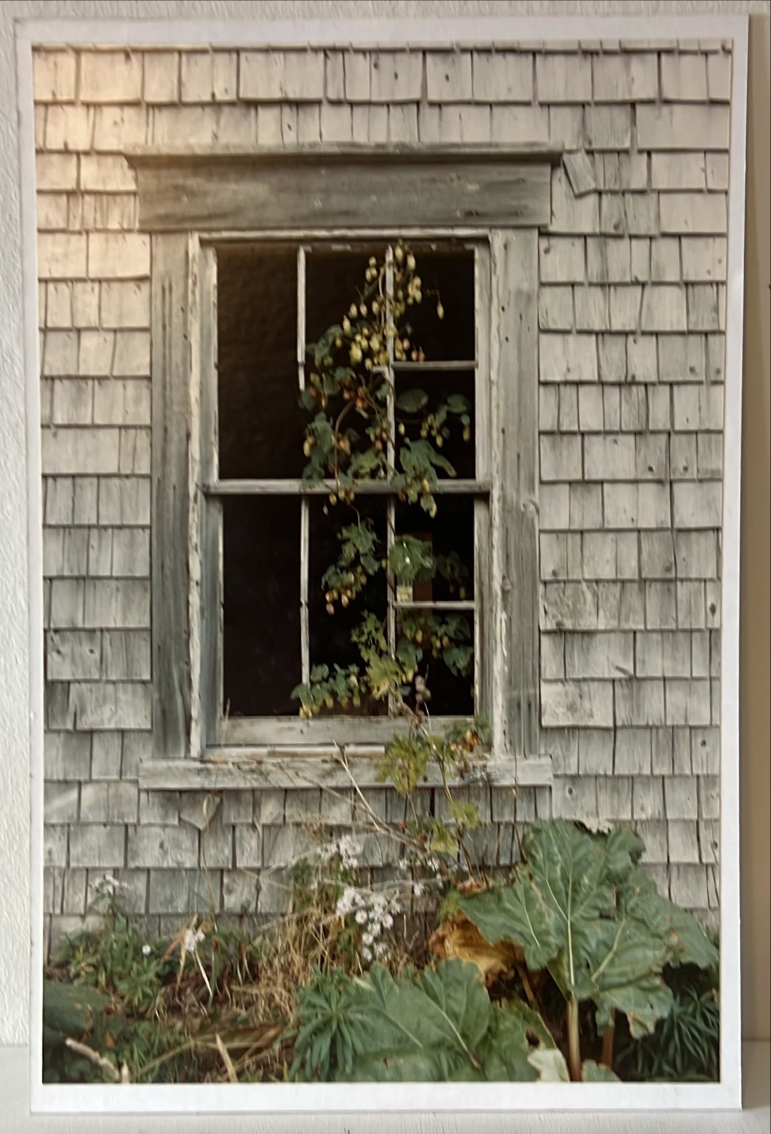 Photo, Architecture, Exterior Unknown Artist, Front view