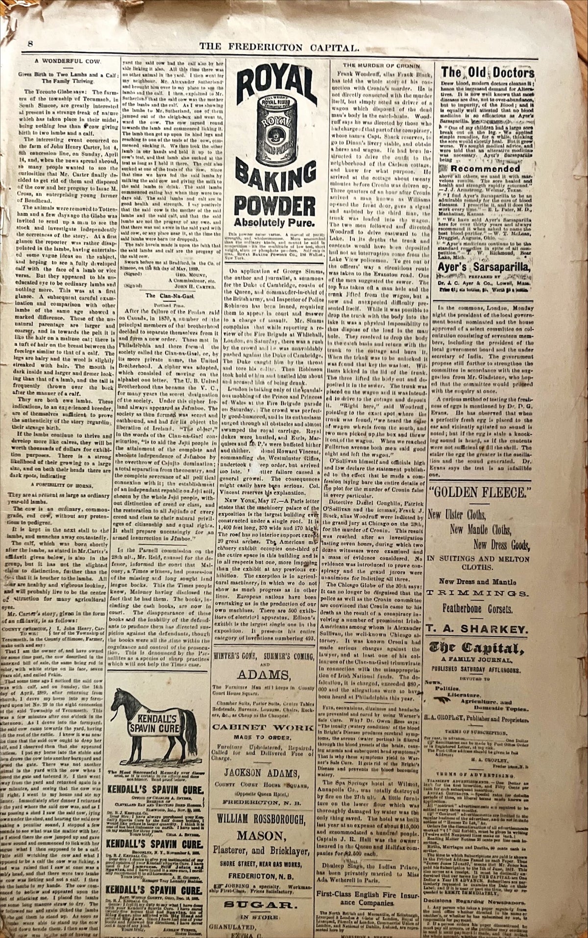 Newspaper, News, The Capital, The Fredericton Capital, Fredericton, N.B., Jun 1, 1889 – Four  Pages, Back view