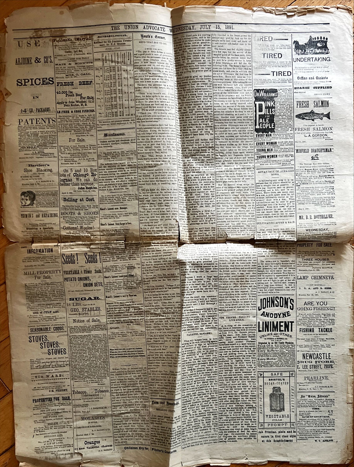 Newspaper, News, The Union Advocate, The Union Advocate, Newcastle NB, Wednesday, July 15, 1891 -Two pages, Back view