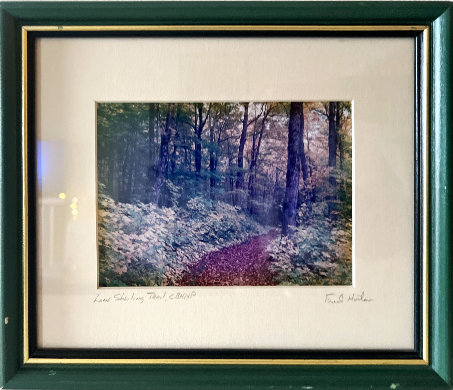 Photo, Landscape Fred Horton, Front view