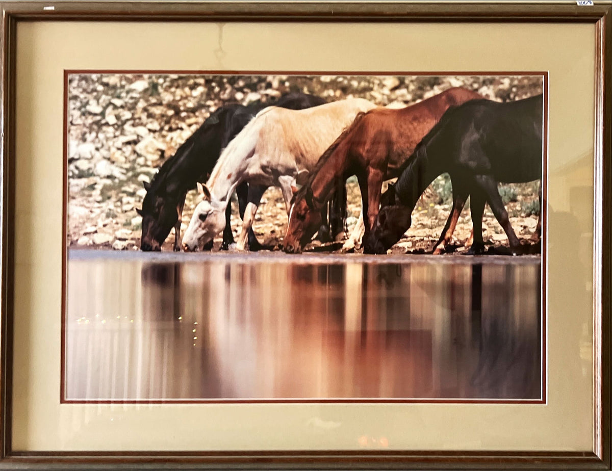 Mixed Media painting, Animals Yva Momatiuk & John Eastcott, Front view
