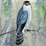 Watercolour painting, Birds Edgar Thompson Jones, Cover view
