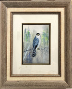 Watercolour painting, Birds Edgar Thompson Jones, Front view