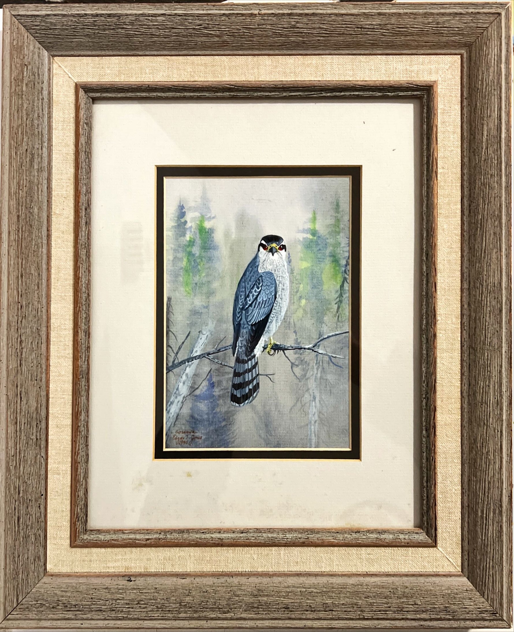 Watercolour painting, Birds Edgar Thompson Jones, Front view