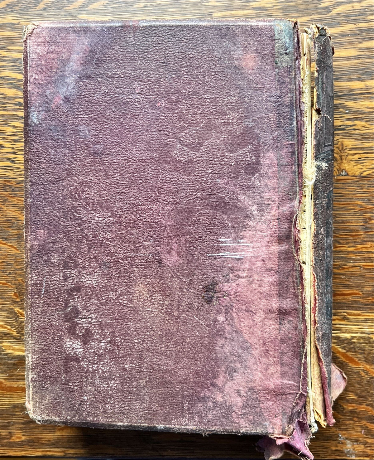 Book, Religious, Catholic Library, The Pictorial Catholic Library, Back view
