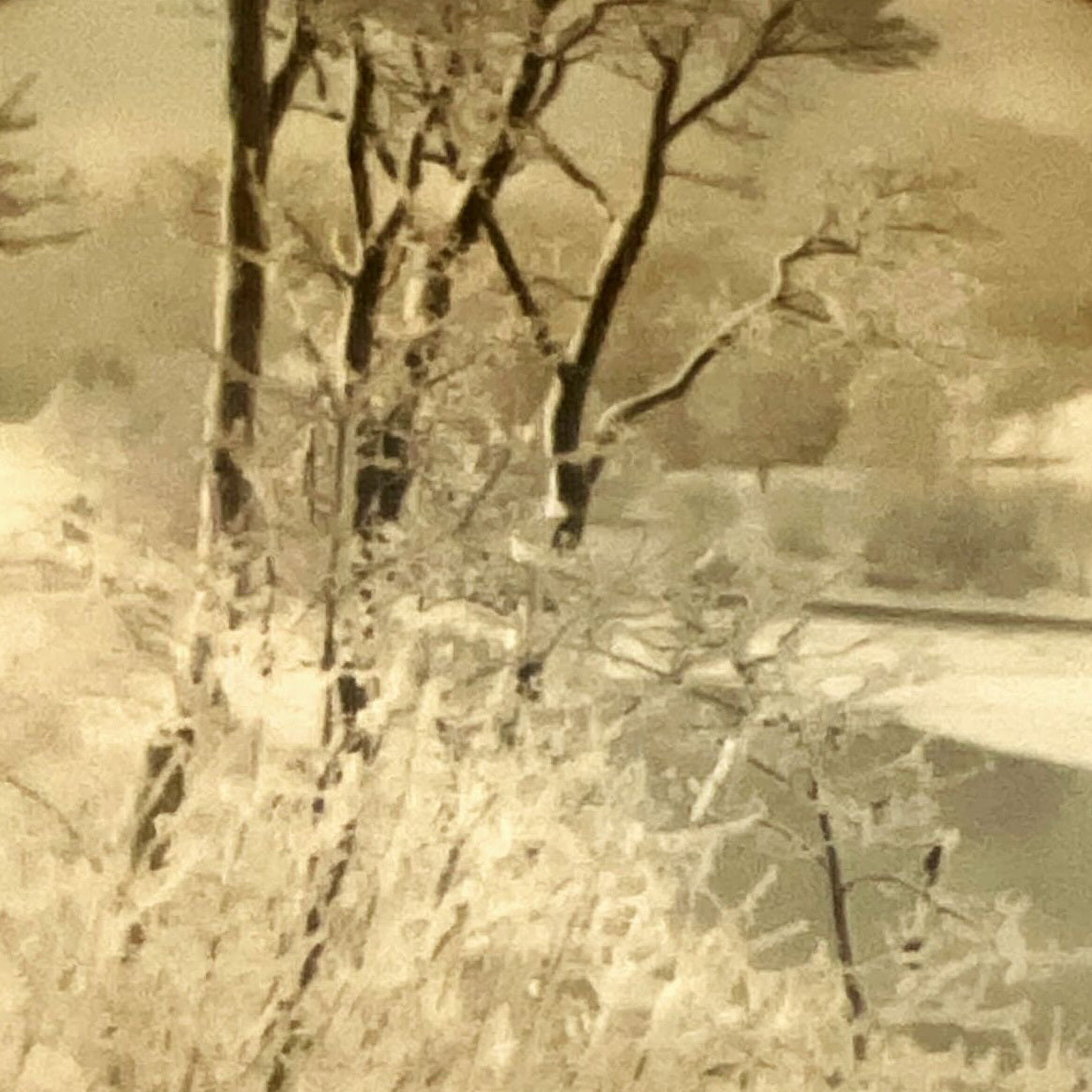 Photo, Landscape Wallace R. MacAskill, Cover view