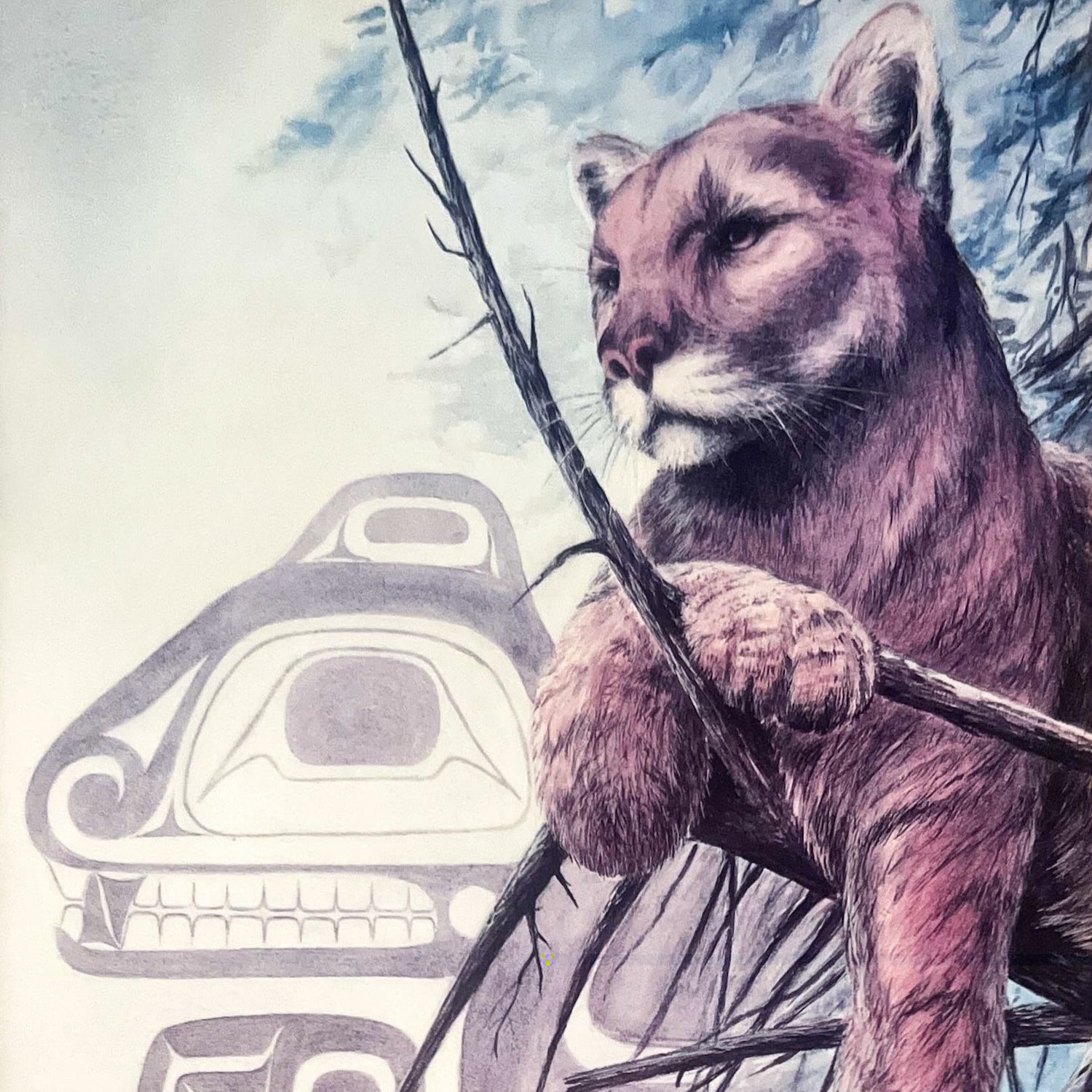 print, Animals Sue Coleman, Cover view