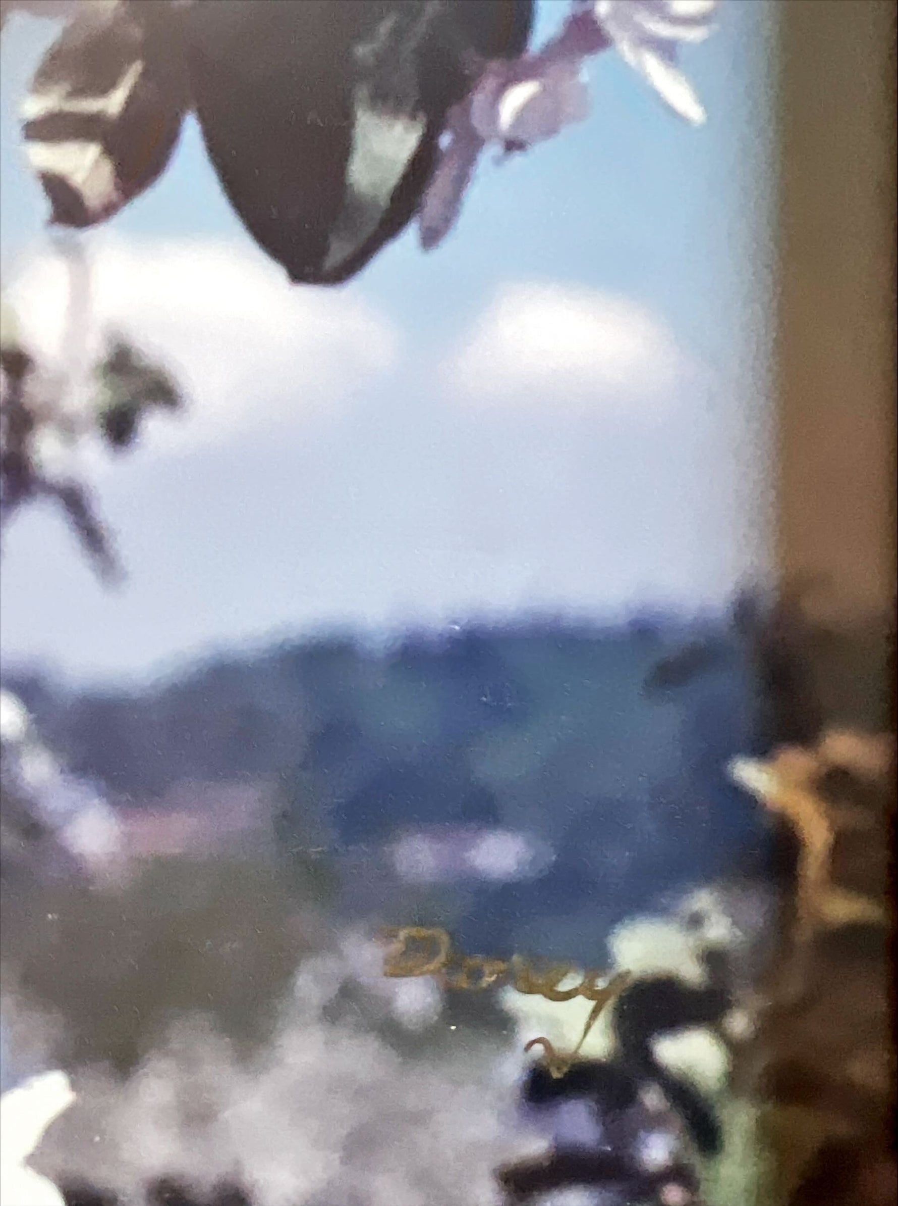 Photo, Floral Barry Dorey, Signature view