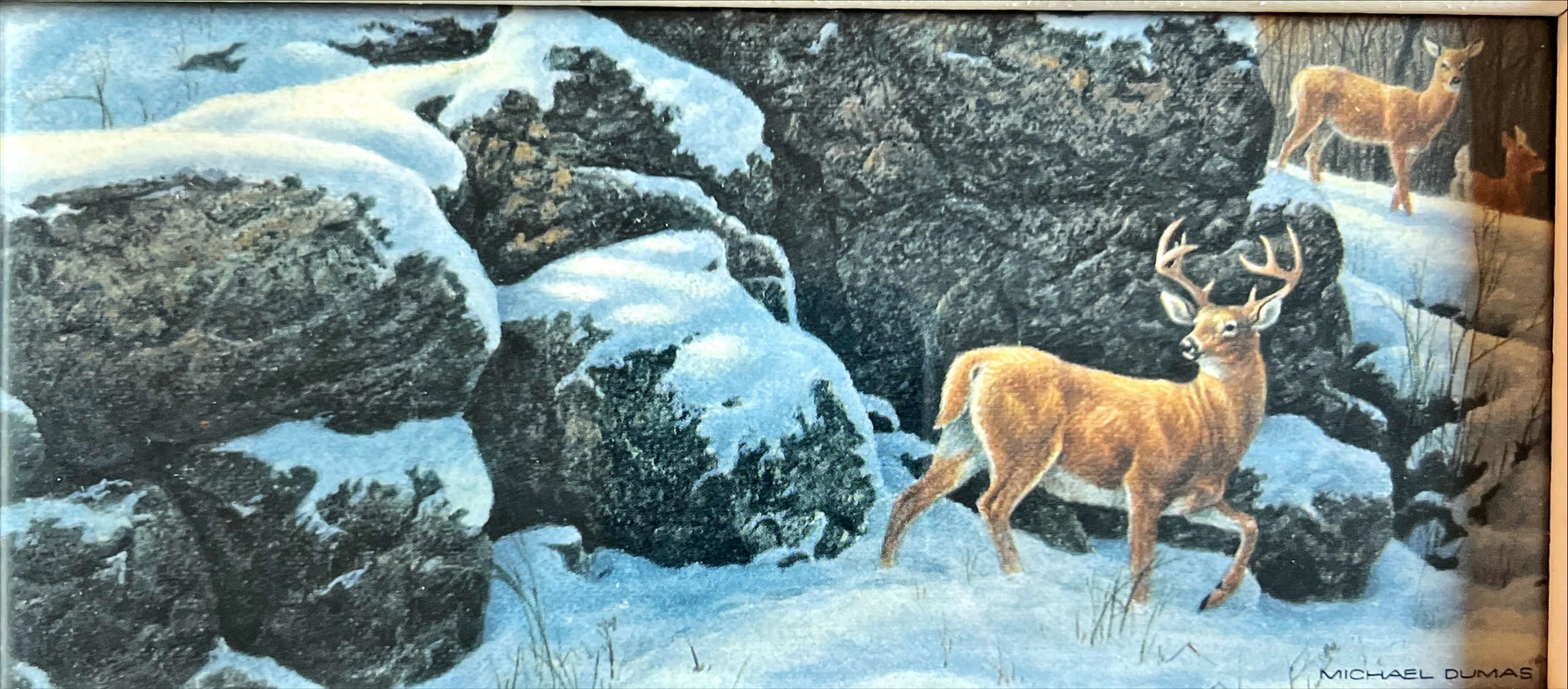 Print, Animals, Michael Dumas, Art view