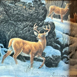 print, Animals Michael Dumas, Cover view