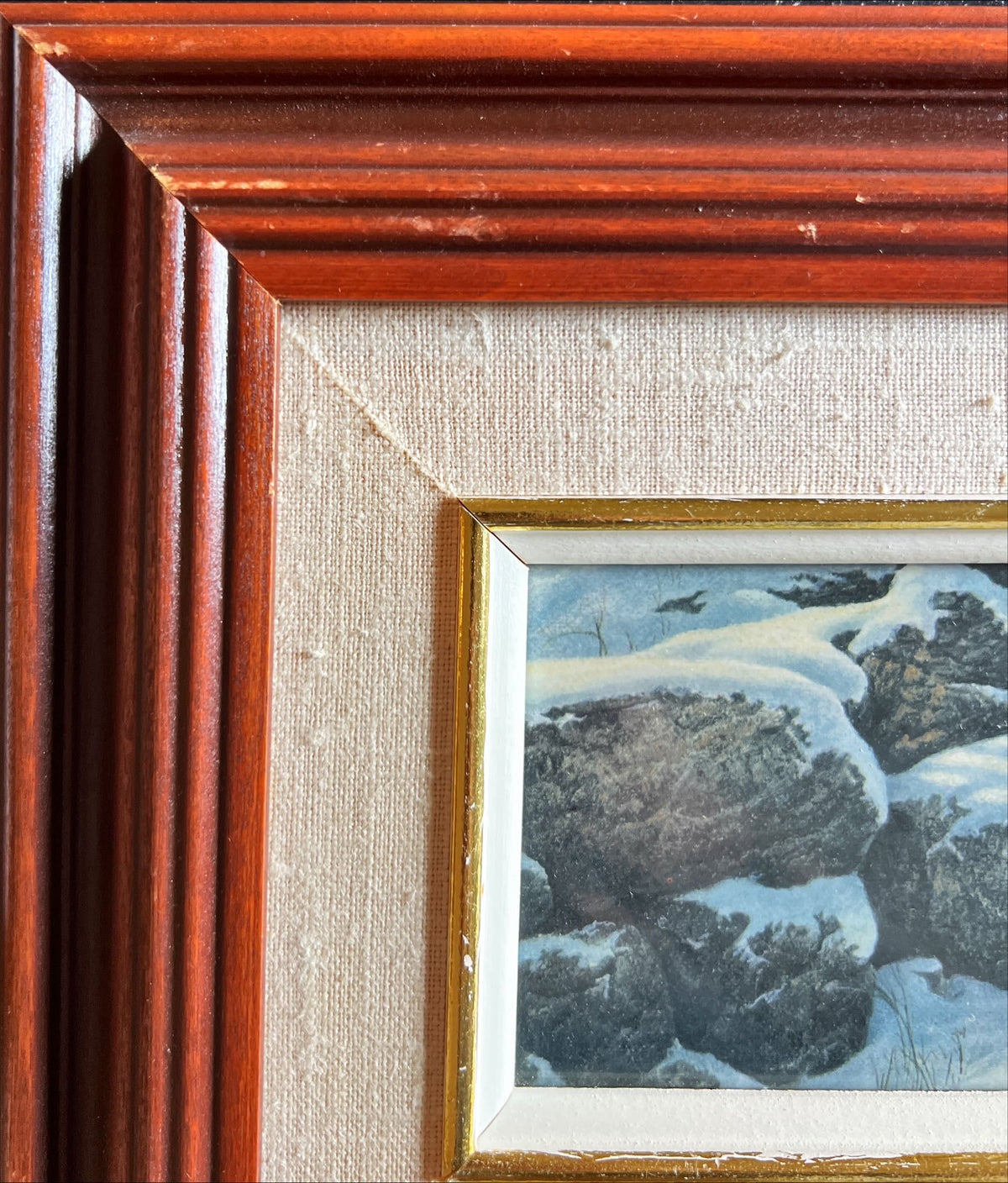 Print, Animals, Michael Dumas, Damage view